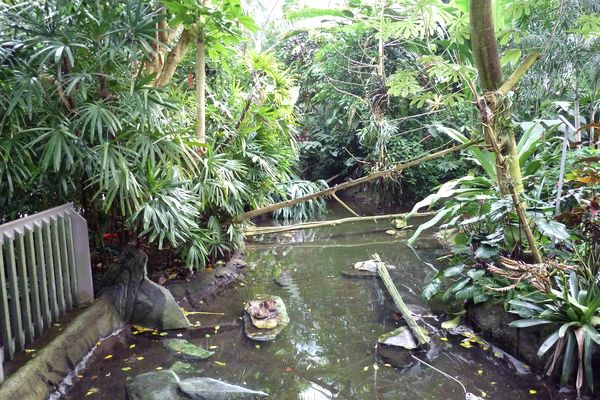 north_carolina_zoo_223-120963[1]